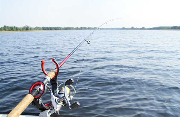 Fishing Equipment Insurance